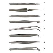 Forceps